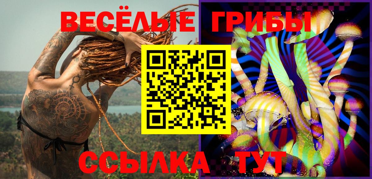 Кирово-Чепецк  Псилоцибиновые грибы MAGIC MUSHROOMS  Псилоцибиновые грибы мухоморы  Вход с VPN 