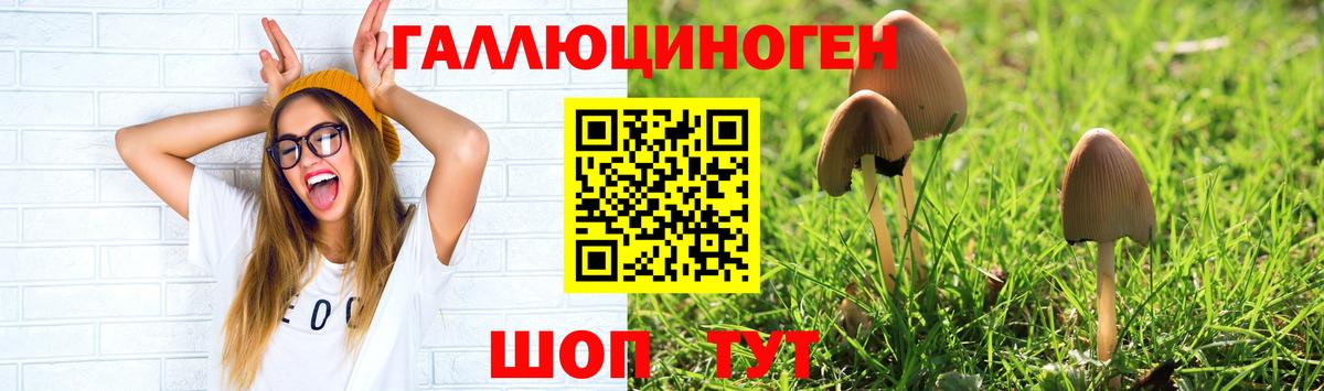 Галлюциногенные грибы GOLDEN TEACHER Кирово-Чепецк